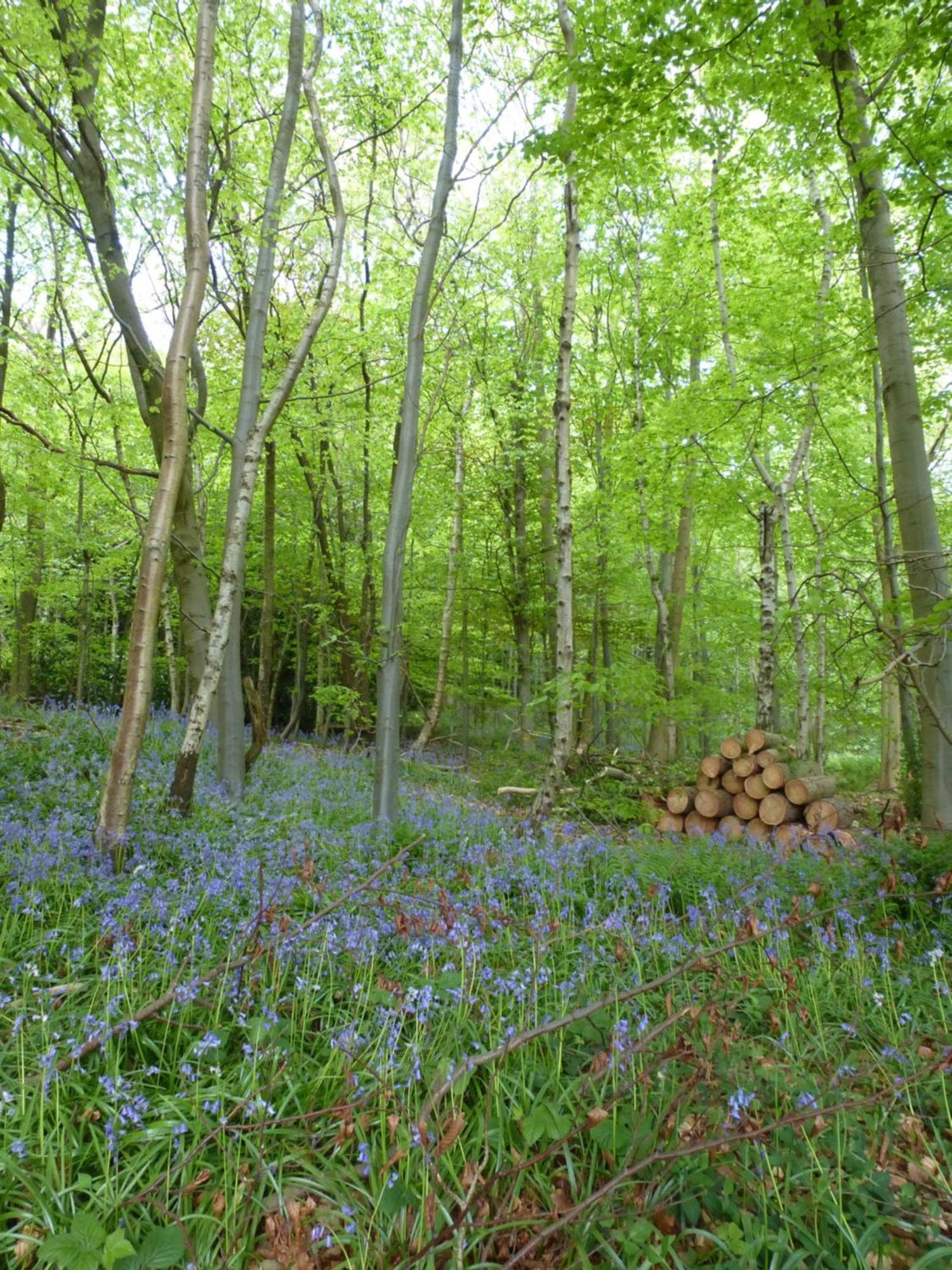 Accommodation At Salomons Estate Royal Tunbridge Wells Esterno foto